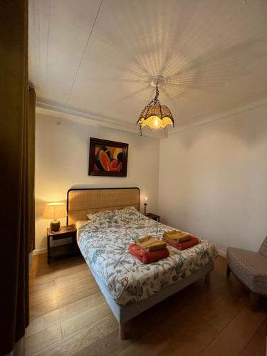 Chambres jardin des plantes pantheon