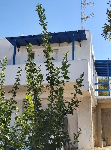 Gallery image of Molos Pine view in Molos Parou