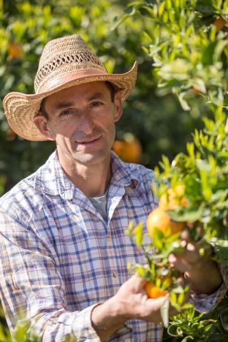 a man wearing a straw hat holding an orange tree at Agroktima in Leonidion