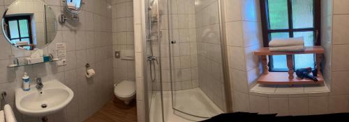 a bathroom with a shower and a toilet and a sink at Worners Schloss Weingut & Wellness-Hotel in Prichsenstadt