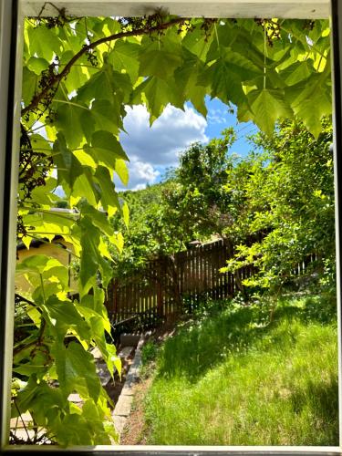 a view of a garden through the leaves of a tree at Cloos - Elegant Residence with Panoramic View in Braşov