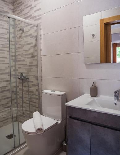 a bathroom with a toilet and a sink and a shower at Casa Ferradal in Quintanilha