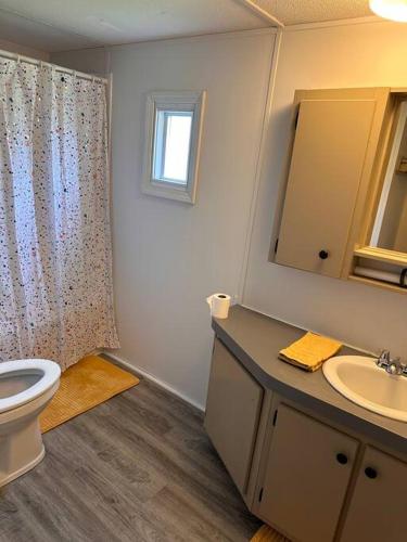 a bathroom with a toilet and a sink and a mirror at Colossians - Living in a world that is not home in Dale