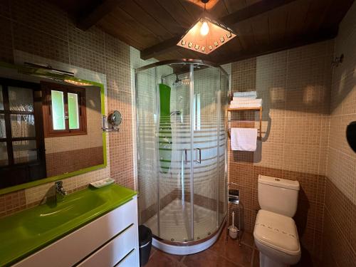 ein Bad mit einer Dusche, einem WC und einem Waschbecken in der Unterkunft Hotel Rural La Covacha in Losar de la Vera