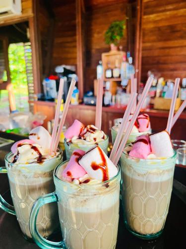 four cups of hot chocolate with ice cream and marshmallows at Houttuyn Wellness River Resort in Paramaribo