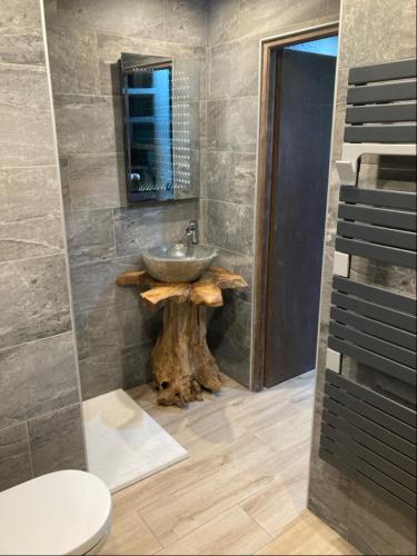 a bathroom with a sink and a toilet in a room at Chalet L'envolée Bleue in Xonrupt-Longemer
