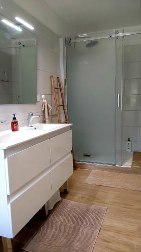 une salle de bain avec un lavabo et une douche en verre dans l'établissement Mas Corsin, à Piolenc