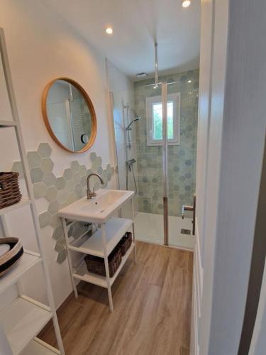 une salle de bain avec un lavabo et une douche avec un miroir dans l'établissement Superbe maison en front de mer, à Ver-sur-Mer