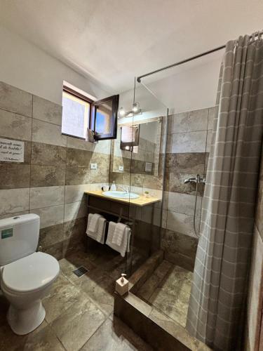 a bathroom with a shower and a toilet and a sink at Mustaciosul Dunarii in Eşelniţa