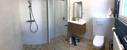 une salle de bain avec une douche, des toilettes et un lavabo dans l'établissement Appartement Confortable Mansord, Allevard, à Allevard