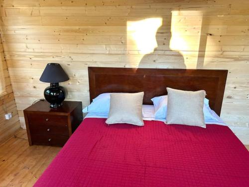 a bedroom with a bed with a red blanket and a lamp at Casa do Baloiço do Pitagudo in Maceira