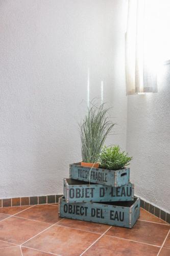 Fotografie z fotogalerie ubytování Casa Selimi v destinaci Ulcinj