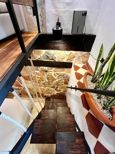 a staircase in a room with a plant at VILLA MERIDA BOUTIQUE HOTEL - Adults Only in Mérida