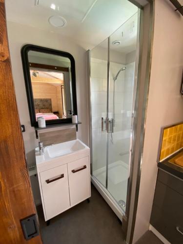 La salle de bains est pourvue d'une douche, d'un lavabo et d'un miroir. dans l'établissement Les gîtes de Belle Roche, à Mâcon