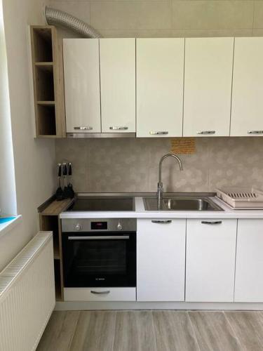 Dapur atau dapur kecil di Sarajevo Luxury Villa