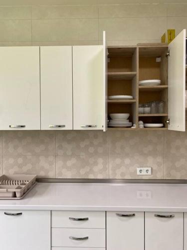 Dapur atau dapur kecil di Sarajevo Luxury Villa