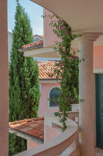 Zahrada ubytování Casa Selimi