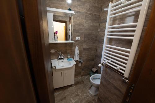 a bathroom with a sink and a toilet and a mirror at Planinska kuca Pantelic in Šljivovica