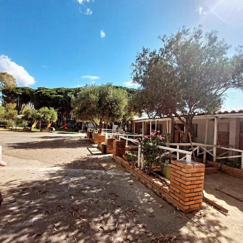 a group of trees and bushes in a yard at Camping Cammello Grigio in Roccella