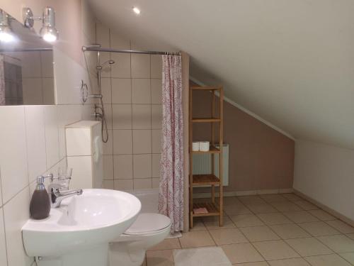 une salle de bains avec toilettes et lavabo dans l'établissement ROKOSZ - Noclegi Beskid Niski, à Sękowa