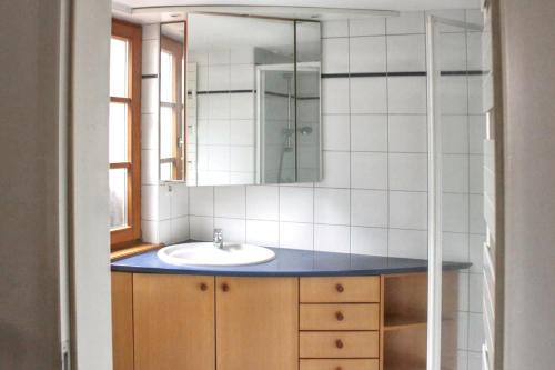 Vonios kambarys apgyvendinimo įstaigoje Appartement de 3 chambres avec terrasse amenagee et wifi a Eguisheim