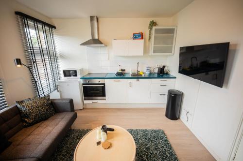 a living room with a couch and a table at Amazing 50m2 Two-Bedroom Apartment - TS307A in Eindhoven