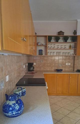 a kitchen with a blue and white bowl on the counter at Panorama View Aigio in Aígio