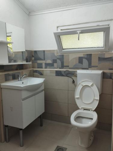 a bathroom with a toilet and a sink and a window at Vila Katerina Dojran in Sretenovo