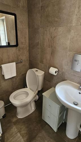 a bathroom with a toilet and a sink at Balmaha Lodges and Apartments in Balmaha