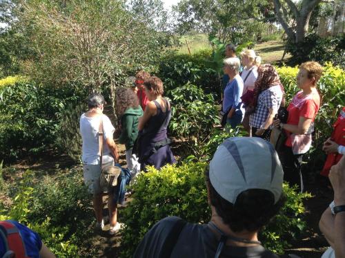 a group of people standing around in a garden at Villa Liliana Lodge Mesa de los Santos in Los Santos