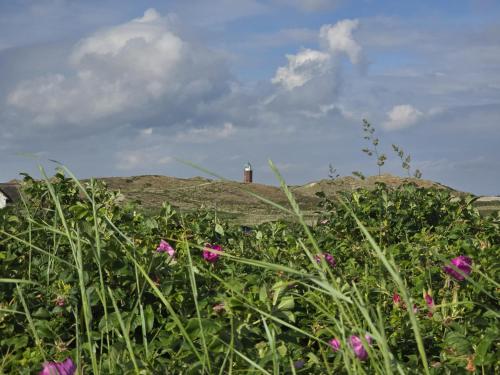 a field of flowers with a lighthouse in the background at Ferienhaus Cäcilienhof Ost in Kampen