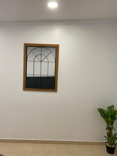 a window on a white wall with a plant at SLICE OF PONTA DO SOL- GROUND FLOOR- SEA VIEW in Ponta do Sol