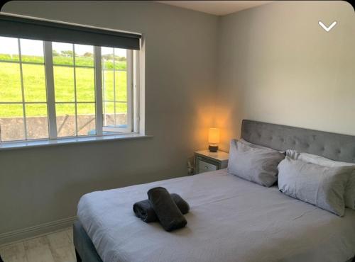 un dormitorio con una cama con un animal de peluche en Hydrangea House en Kinsale