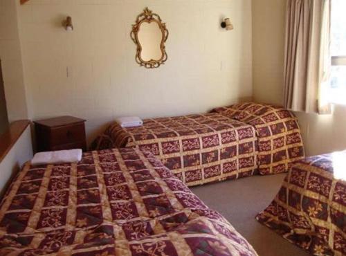 a bedroom with two beds and a mirror on the wall at Ruapehu Mountain Motel & Lodge in Ohakune