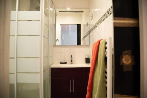 une salle de bain avec un lavabo et un miroir dans l'établissement Très agréable appartement près du canal St Martin, à Paris
