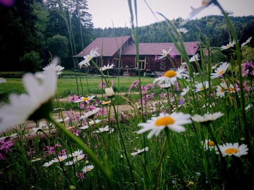 Billede fra billedgalleriet på Crossline Lodge i Gheorgheni
