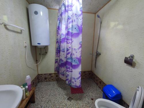 Ein Badezimmer in der Unterkunft Adishi Zhora Kaldani Guest House