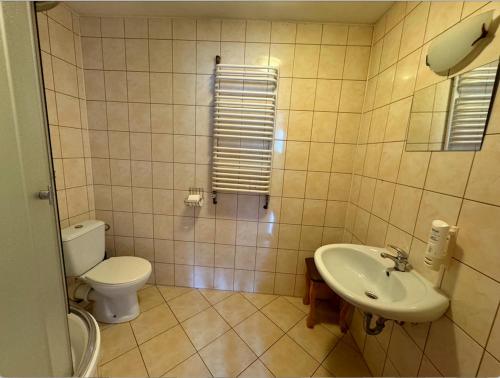 a bathroom with a toilet and a sink at Zajazd Gajówka in Zwierzyniec