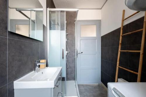 une salle de bain avec un lavabo et une douche dans l'établissement Amiens - Appartement vue Cathédrale, à Amiens