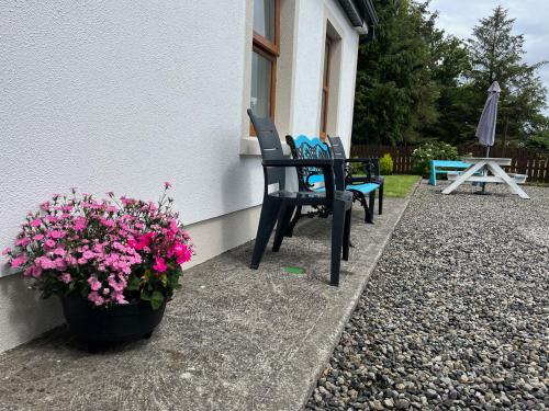 two chairs and a pot of flowers next to a house at Cloonkee Cottage in Crossmolina