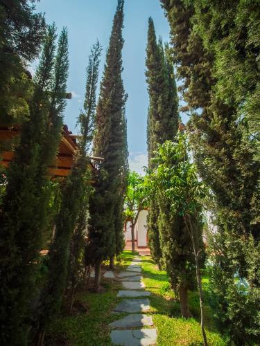 a path through a garden with cypress trees at Casa Hotel Mamaluna in Lunahuaná