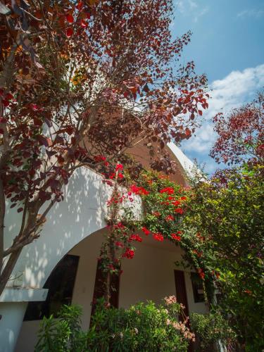 a building with a tree with red flowers on it at Casa Hotel Mamaluna in Lunahuaná