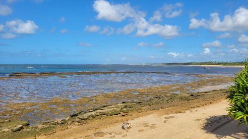 a beach with the ocean and the sand and water at Apartamento Cachalote - Terraces Porto das Baleias - Praia do Forte in Praia do Forte
