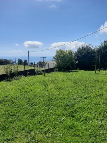 ein grünes Gras mit dem Ozean im Hintergrund in der Unterkunft Casa vicente in Santa Cruz das Flores