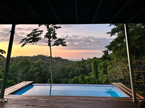 a swimming pool with a view of the forest at Southern Drake Lodge in Drake