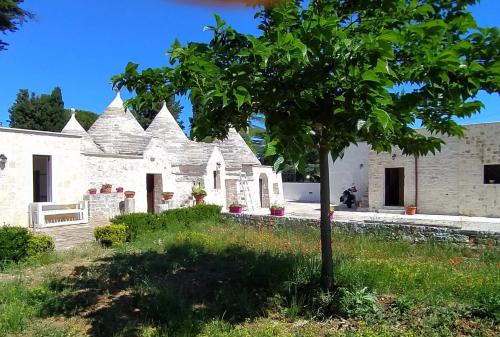 un albero di fronte a un edificio bianco di Nidadi Trulli d'Itria a Martina Franca