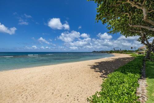 a sandy beach with trees and the ocean at Hidden Jewel in Haleiwa