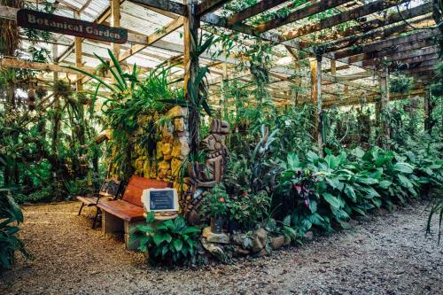 a greenhouse filled with lots of plants and a bench at Ian Anderson Caves Branch Jungle Lodge in Belmopan