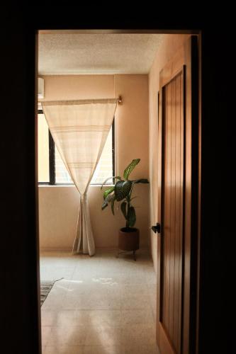 Φωτογραφία από το άλμπουμ του Casa Pina close to Santo Domingo Church σε Oaxaca City