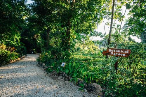 a sign on a path in the middle of a forest at Ian Anderson Caves Branch Jungle Lodge in Belmopan